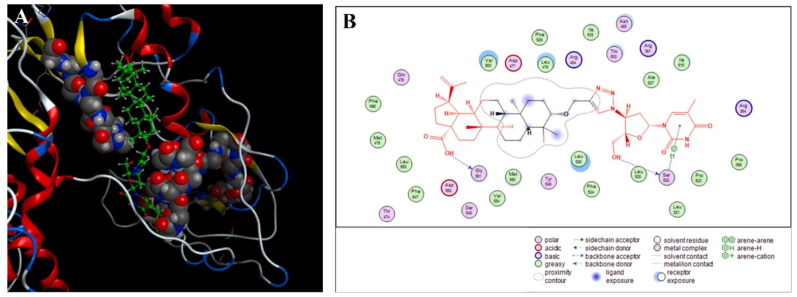 图5：BA-AZT1 与 HBV Pol 的分子对接结果