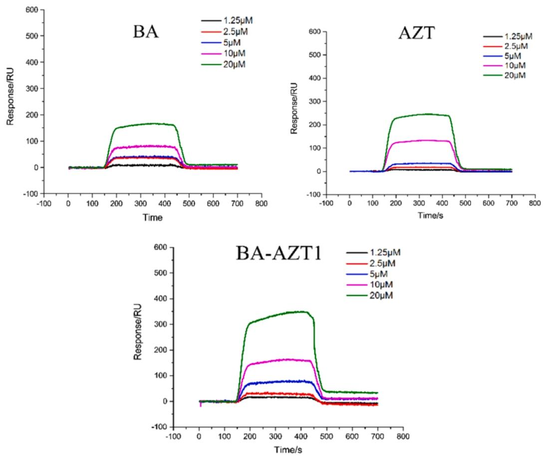 图6：BA-AZT1 与 HBV Pol C 域肽段的 SPR 结合分析