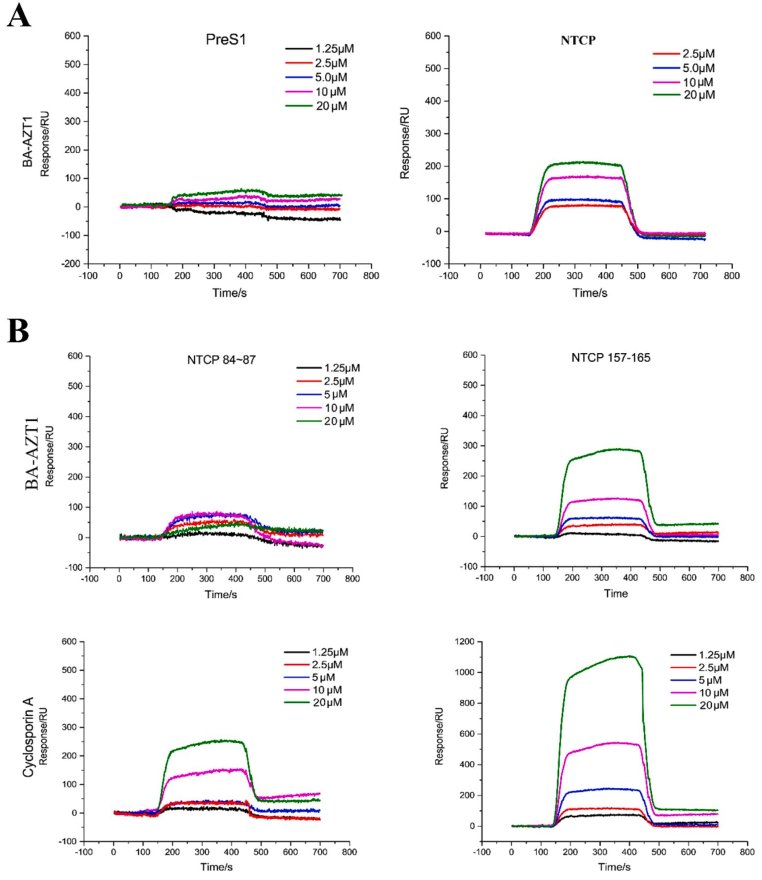 图7：BA-AZT1 与 PreS1、NTCP 及 NTCP 表位的 SPR 结合分析