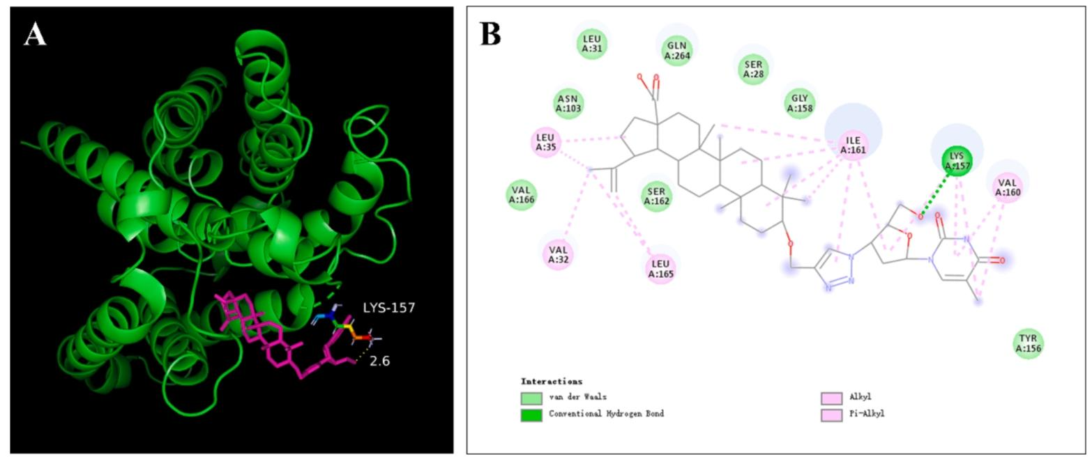 图8：BA-AZT1 与 NTCP 的分子对接结果