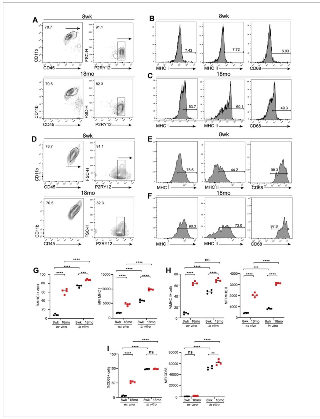 Fig3:成年与老年小胶质细胞的激活状态对比(流式细胞术)