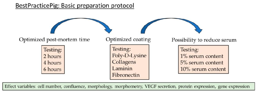 Fig1：实验设计流程图