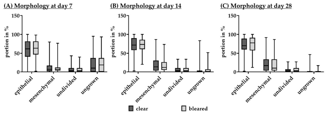 Fig4：眼质量对 RPE 形态的影响