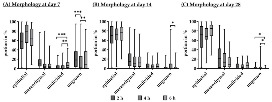 Fig6：PMT 对 RPE 形态与肌动蛋白结构的影响