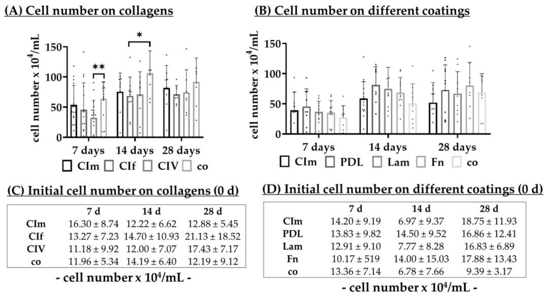 Fig8：不同涂层对 RPE 细胞数量的影响