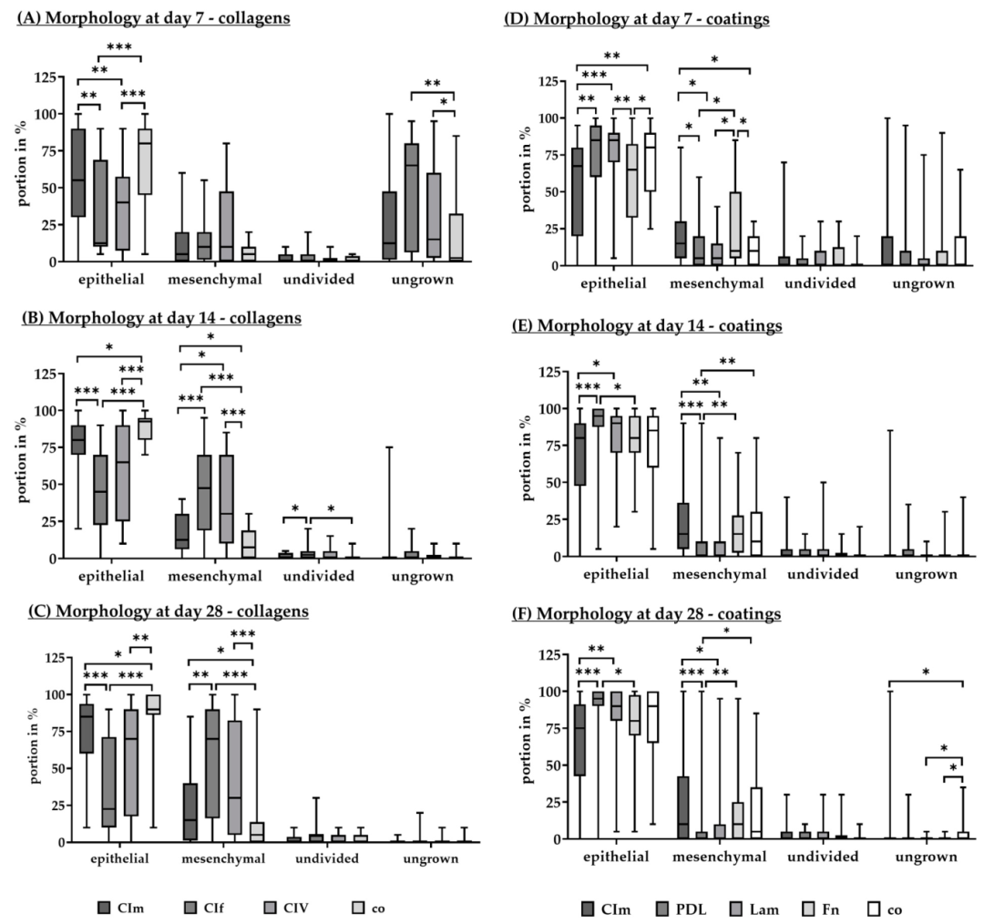 Fig10：不同涂层对 RPE 形态的影响