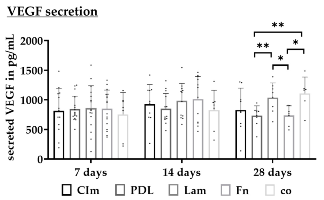 Fig11：不同涂层对 RPE VEGF 分泌的影响