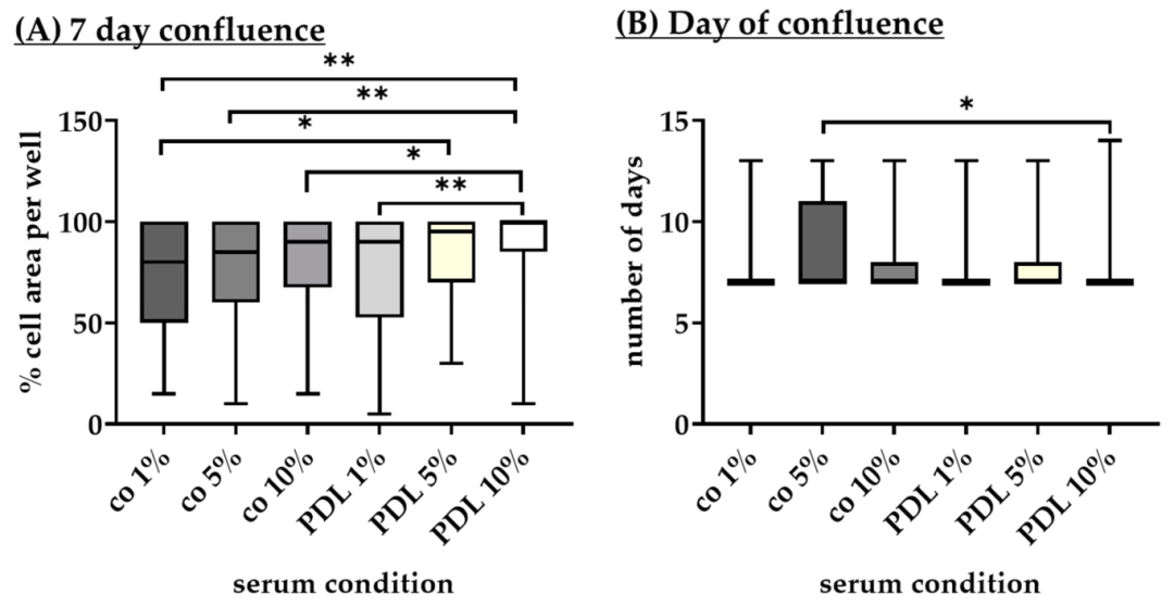 Fig15：不同血清含量对 RPE 融合的影响