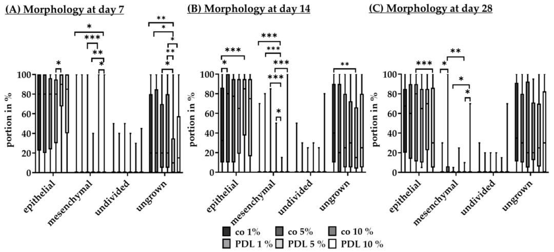 Fig16：不同血清含量对 RPE 形态的影响
