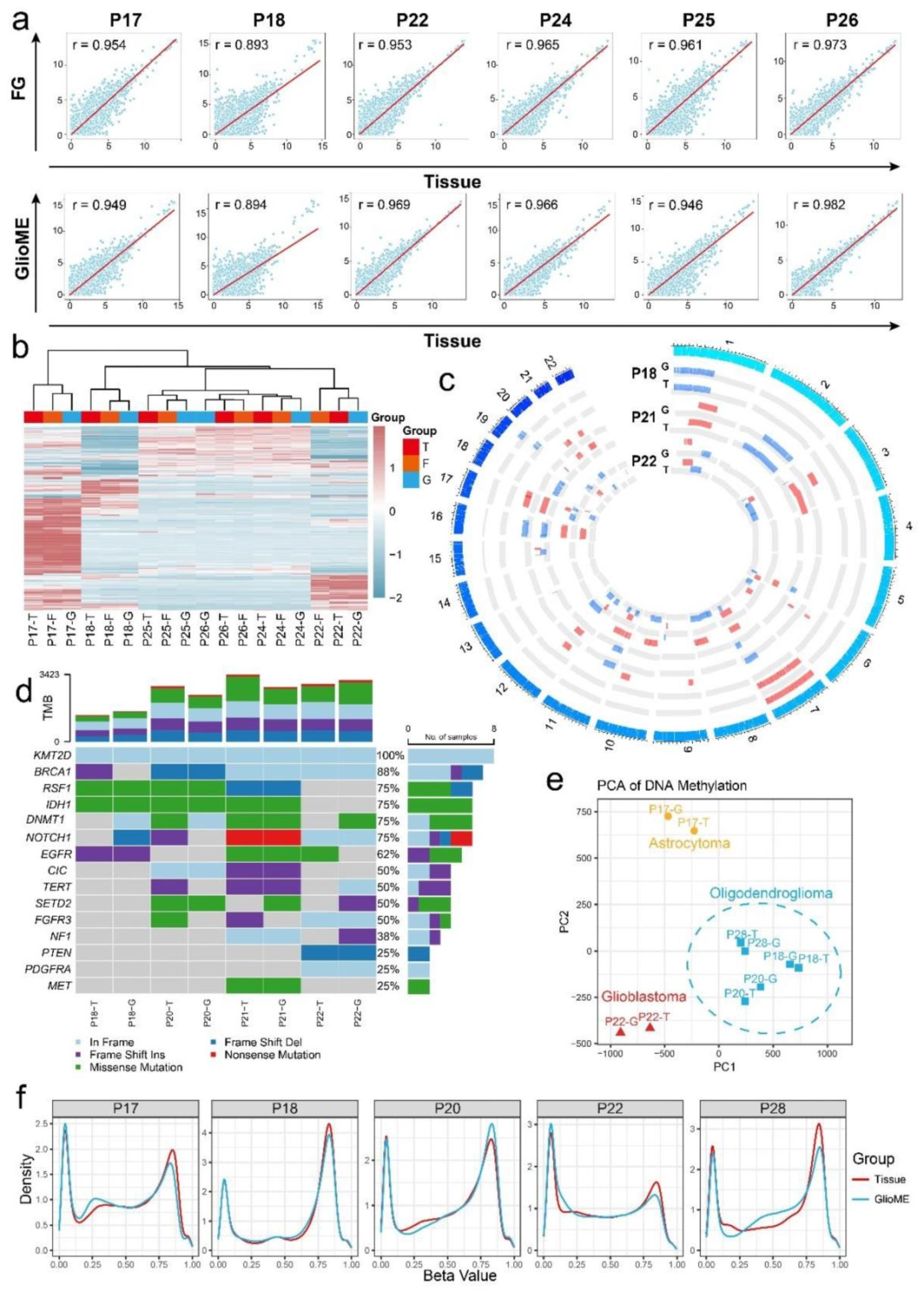 图 3:分子水平一致性验证