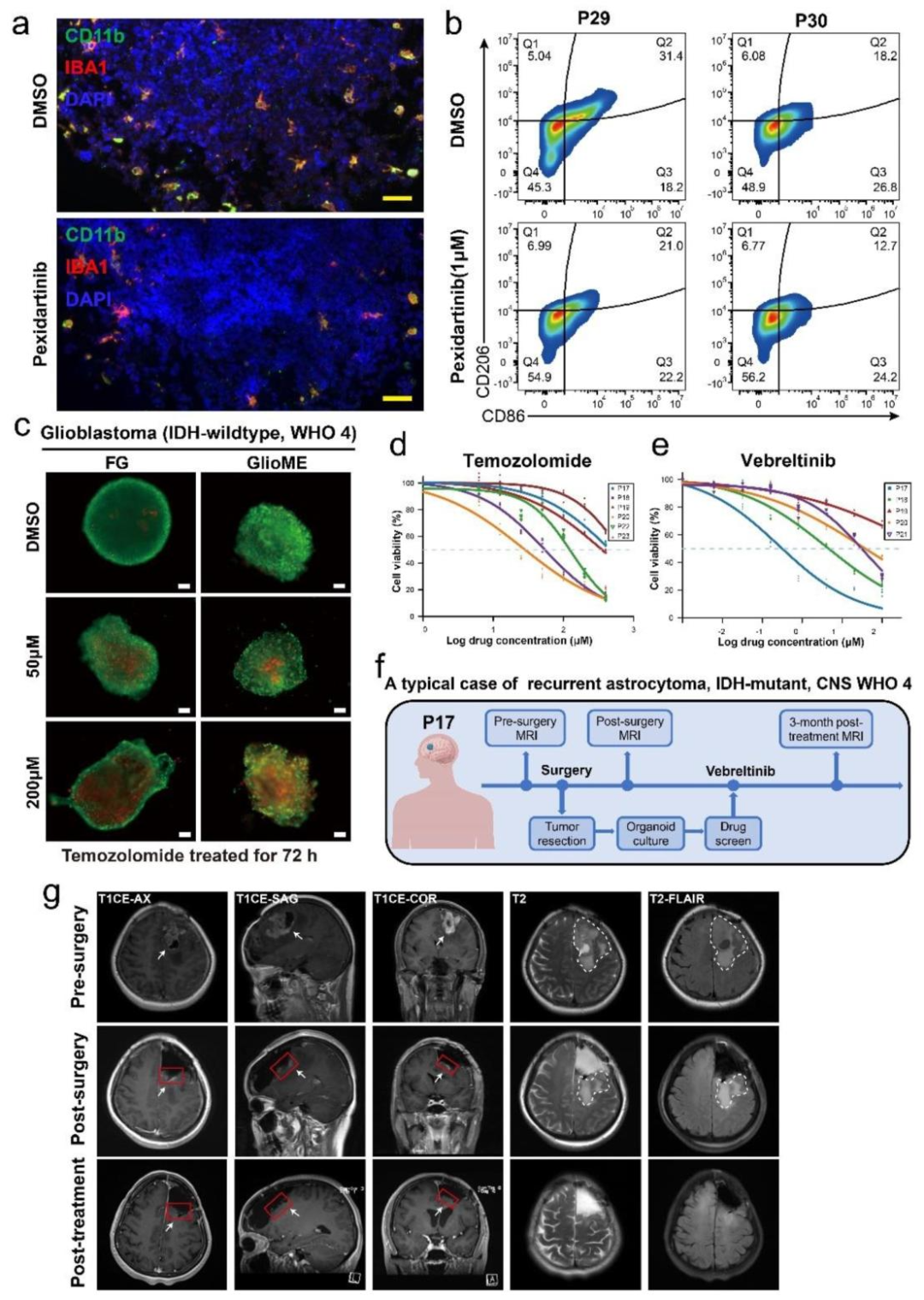 图 6:药物筛选与临床验证