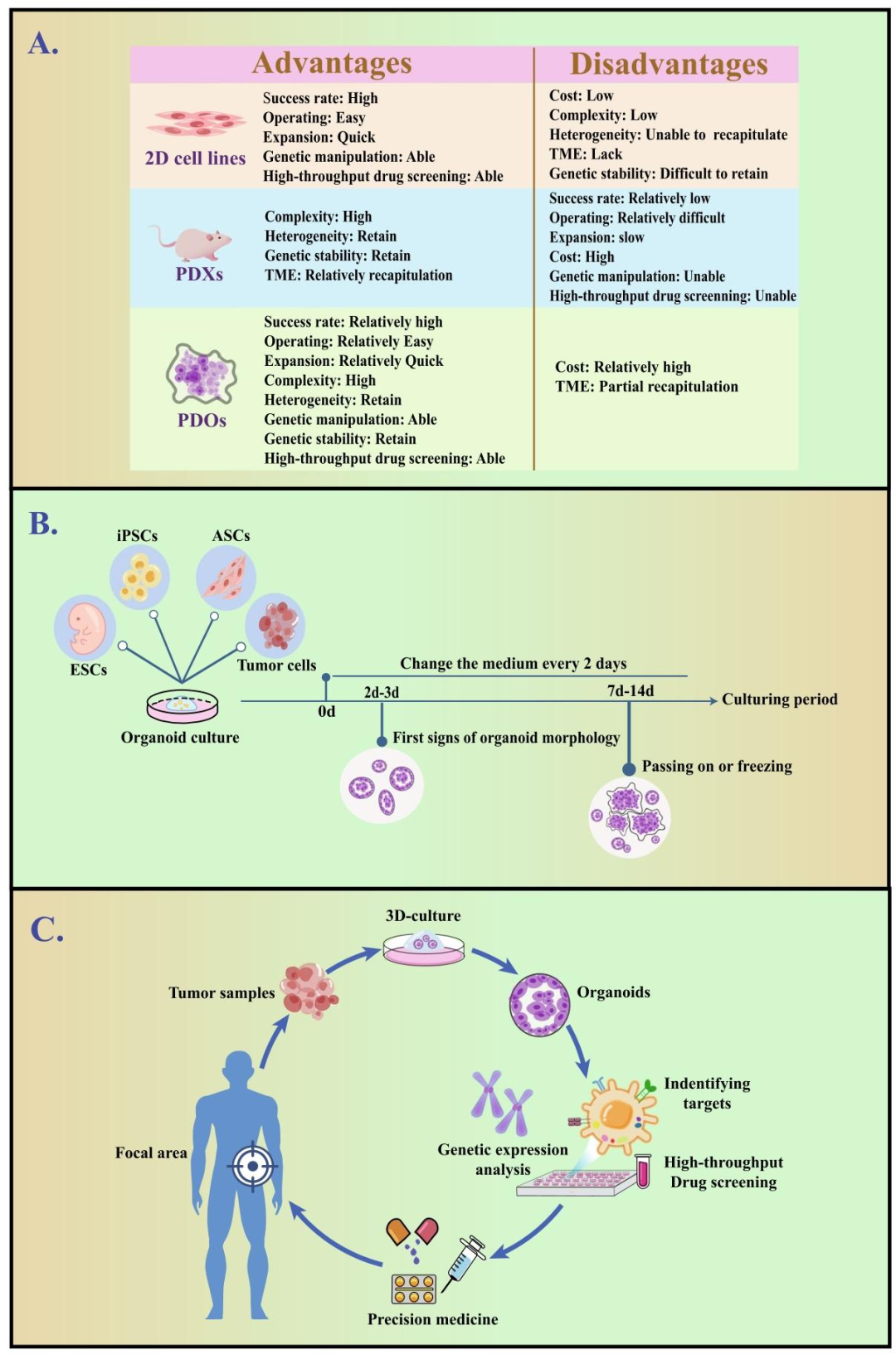 图 1：类器官技术的优势及在精准医学中的应用