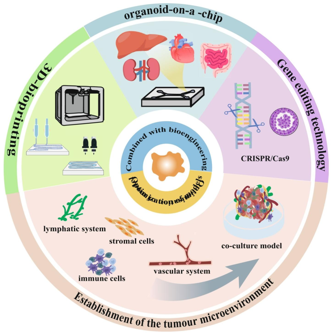 图 3：肿瘤类器官技术的最新进展