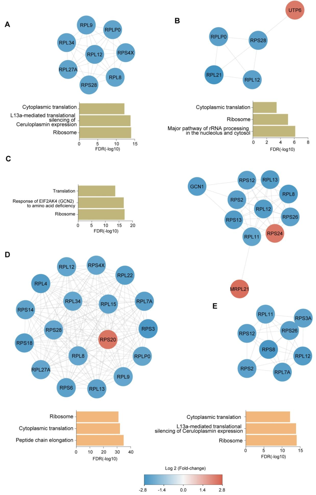 图 4：蛋白酶体抑制剂诱导的蛋白质相互作用网络