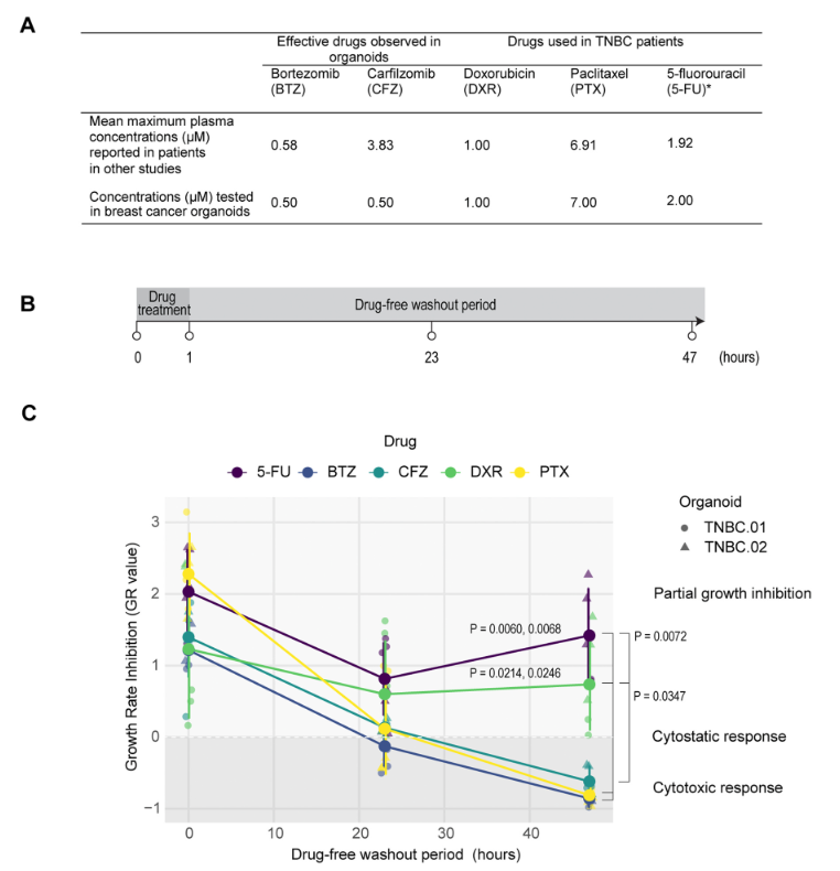 图 6：药物响应动态对比