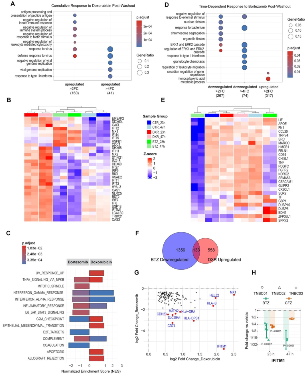 图 7：转录组分析揭示耐药机制及蛋白酶体抑制剂的作用