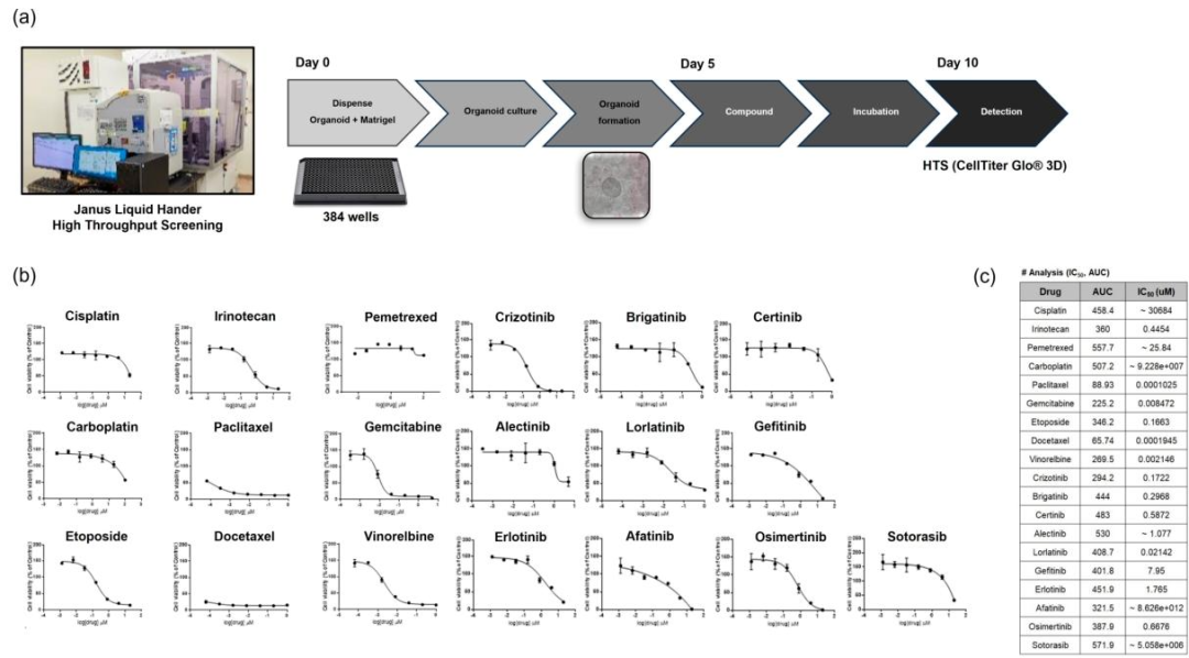 图 3：PDTO 的高通量药物筛选结果