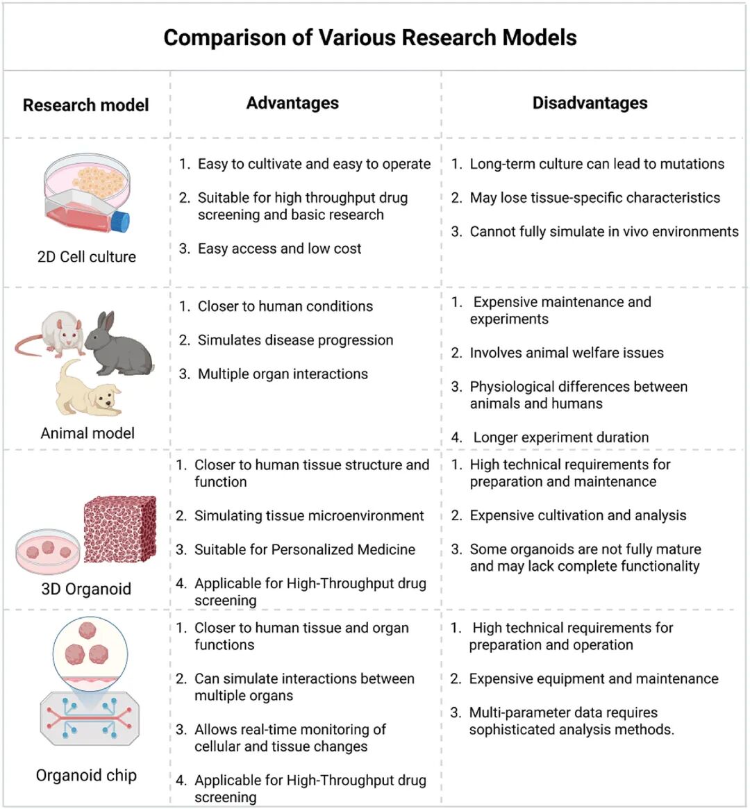 图 2:不同研究模型的优劣势对比