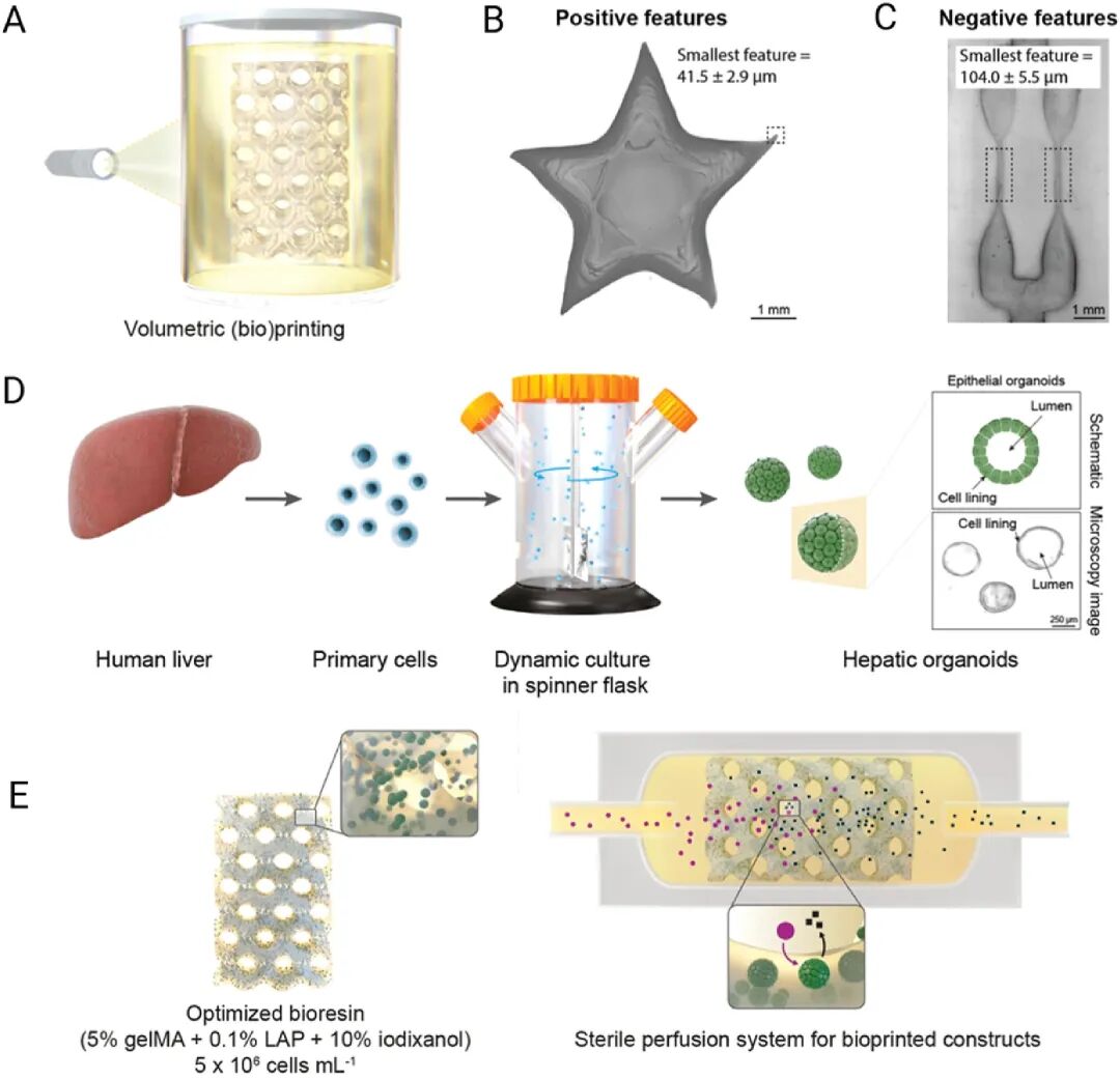 图 7:高分辨率体积打印流程与研究设计概述