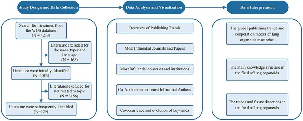 图 1:文献计量分析流程图