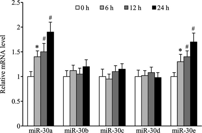 图 1：MTB 感染对 THP-1 细胞 miR-30 家族成员表达的影响