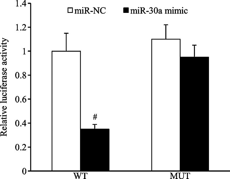 图 5：MyD88 是 miR-30a 的直接靶基因