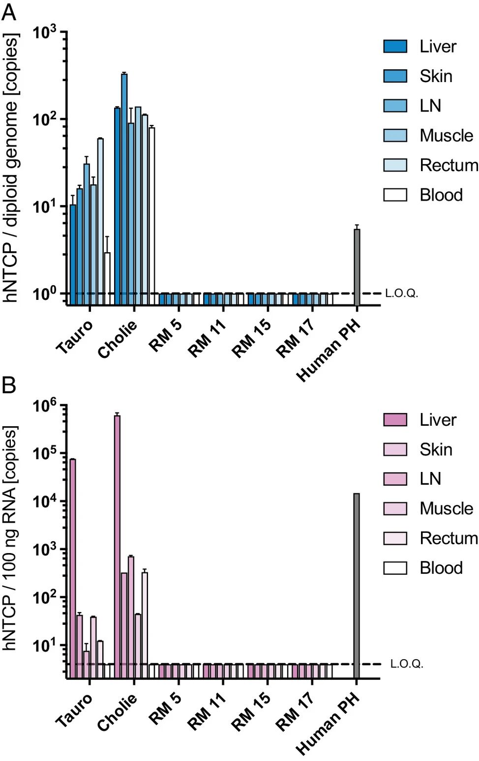 图 2:hNTCP 在多组织中的整合与表达特异性