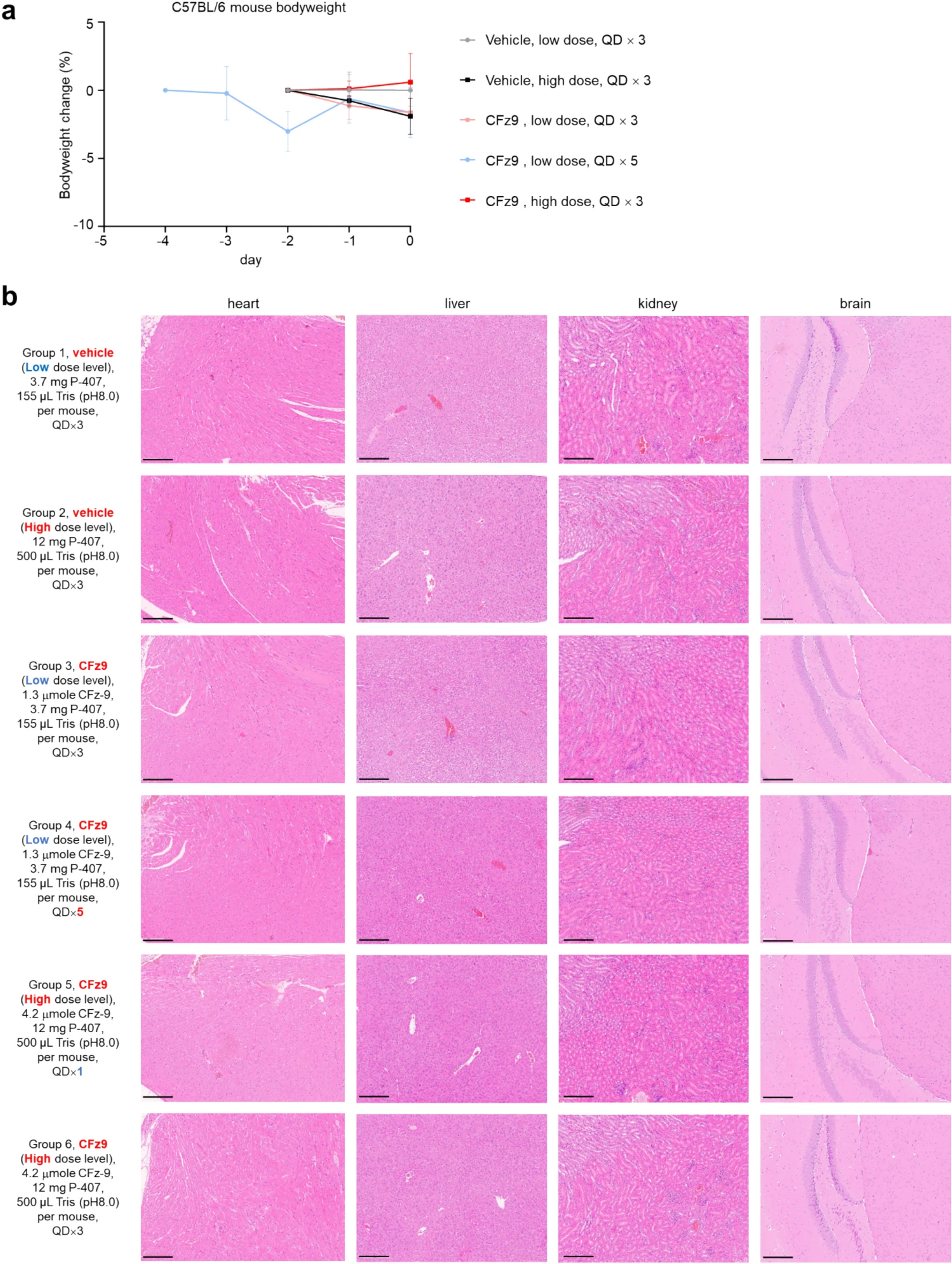 图 3：优化 CFz9 配方的体内毒性低