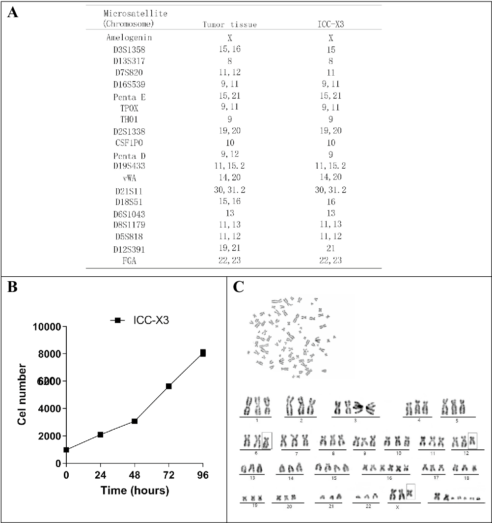 图 2：ICC-X3 的 STR 分析、生长曲线及核型分析