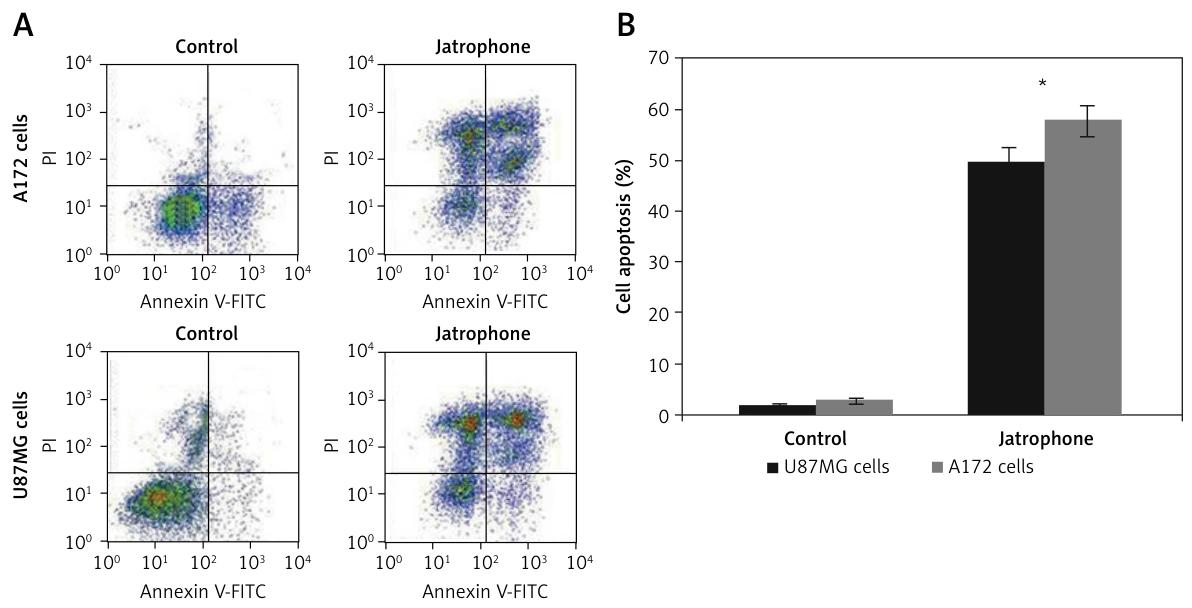 图 3:麻风树碱显著提高胶质瘤细胞凋亡率