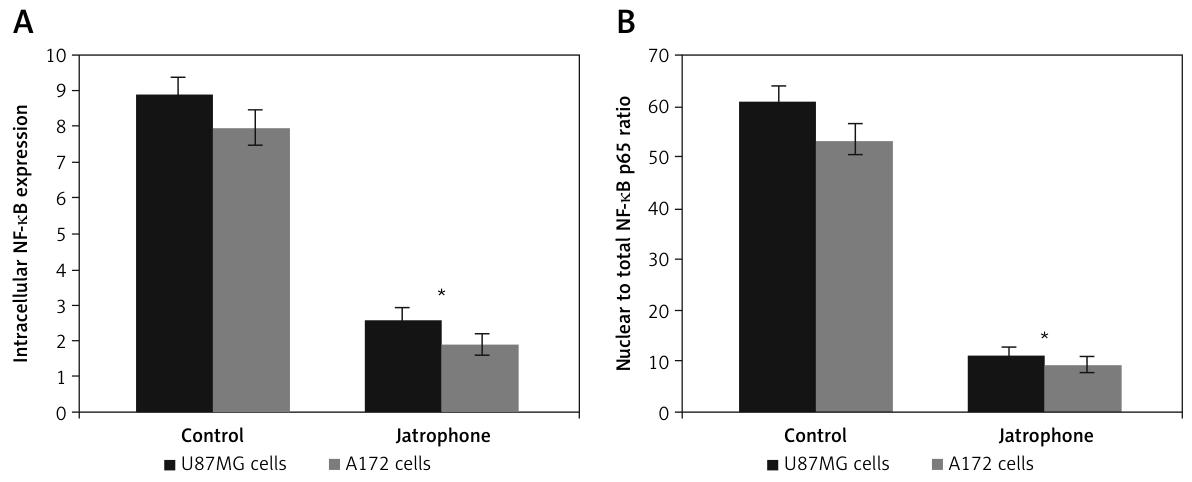 图 5:麻风树碱下调 NF-κB 表达并抑制其核转位