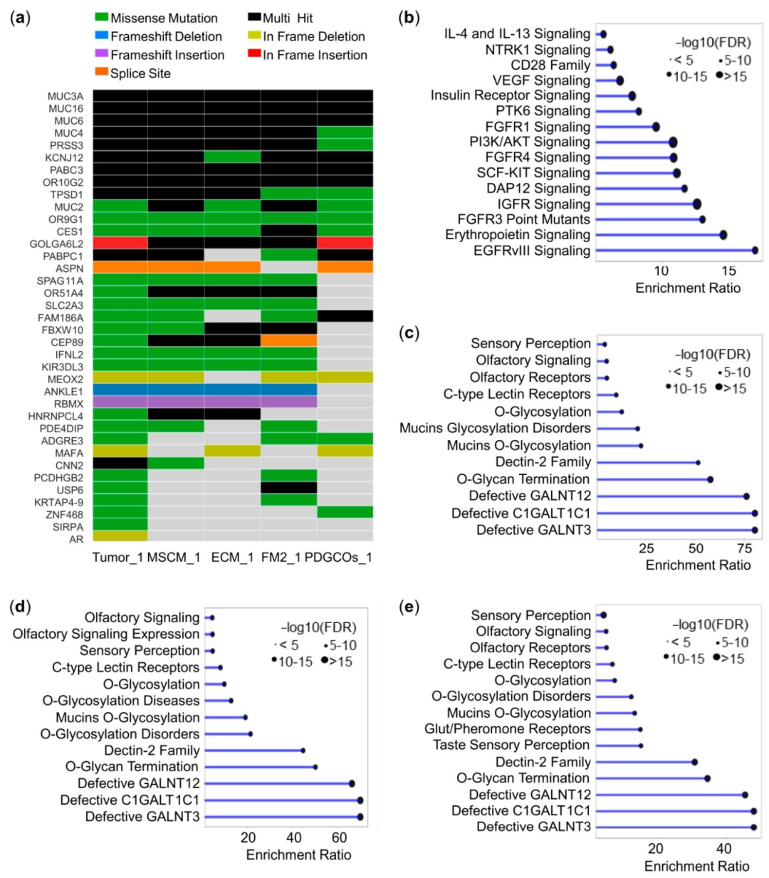 图 2：肿瘤及衍生细胞的基因组特征