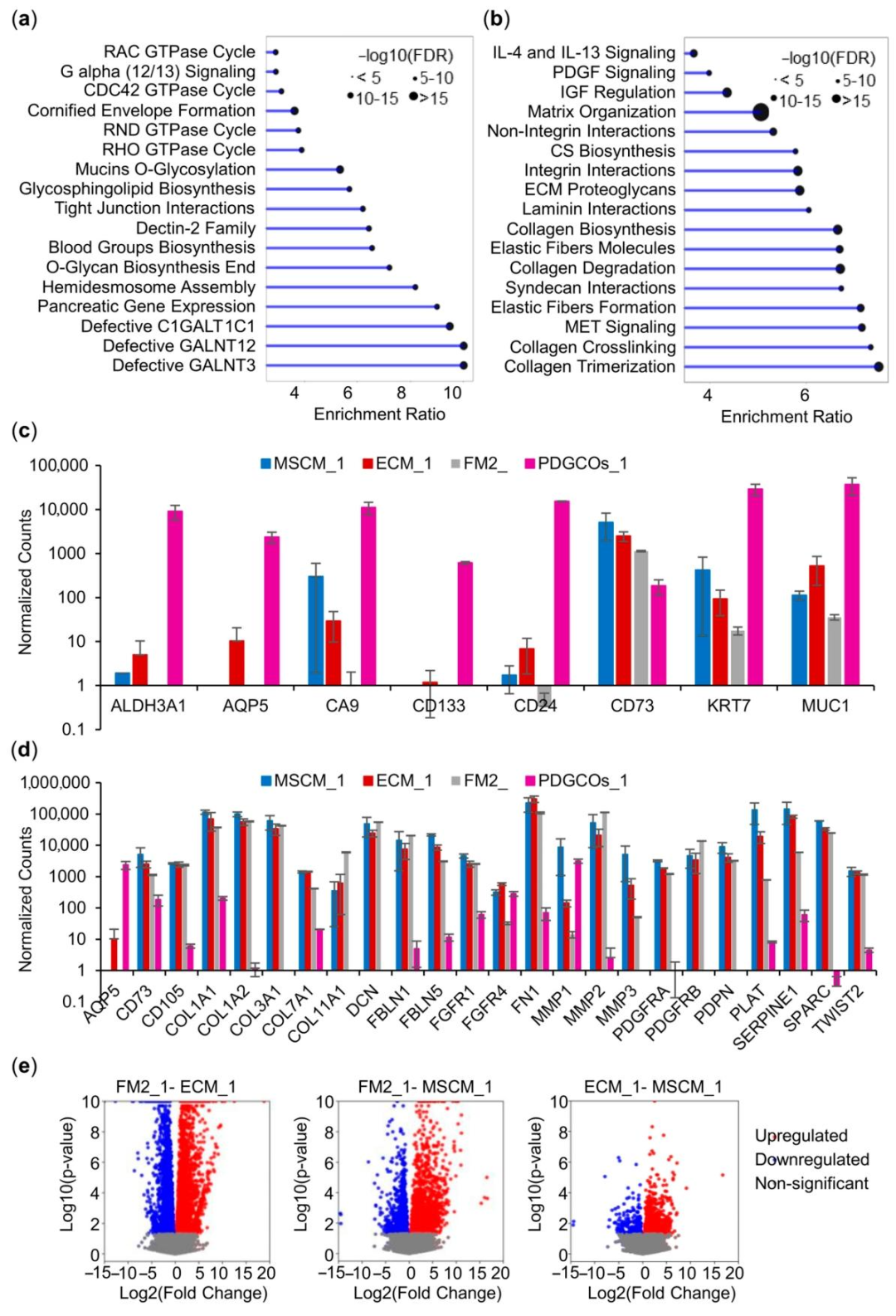 图 3：肿瘤类器官与基质细胞的基因表达差异