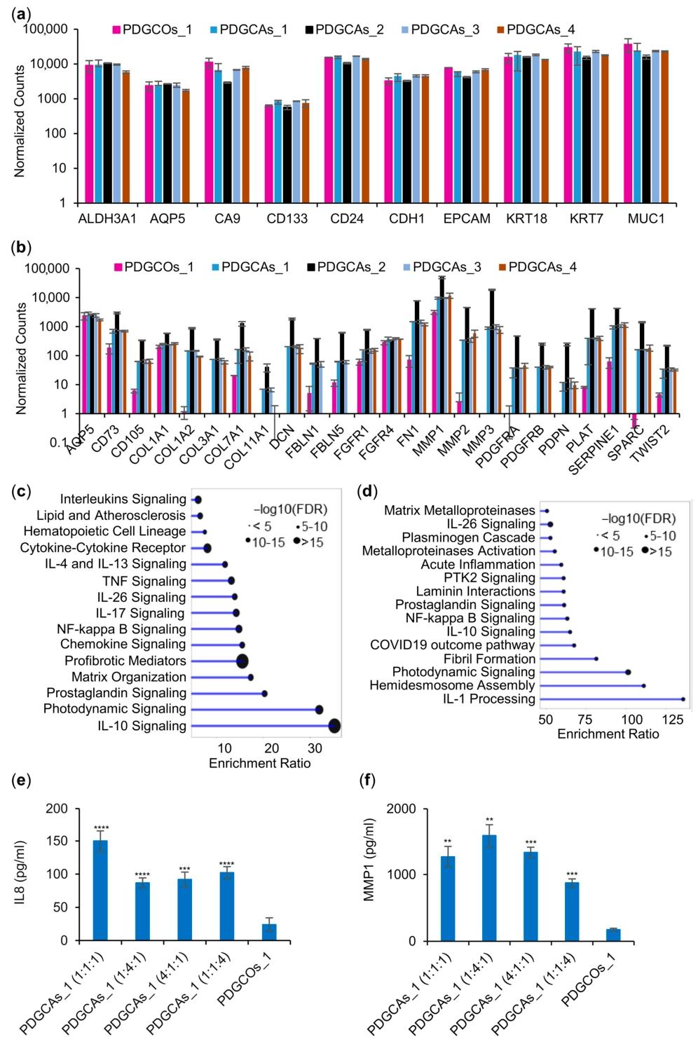 图 6：组装体的转录组特征与细胞因子分泌