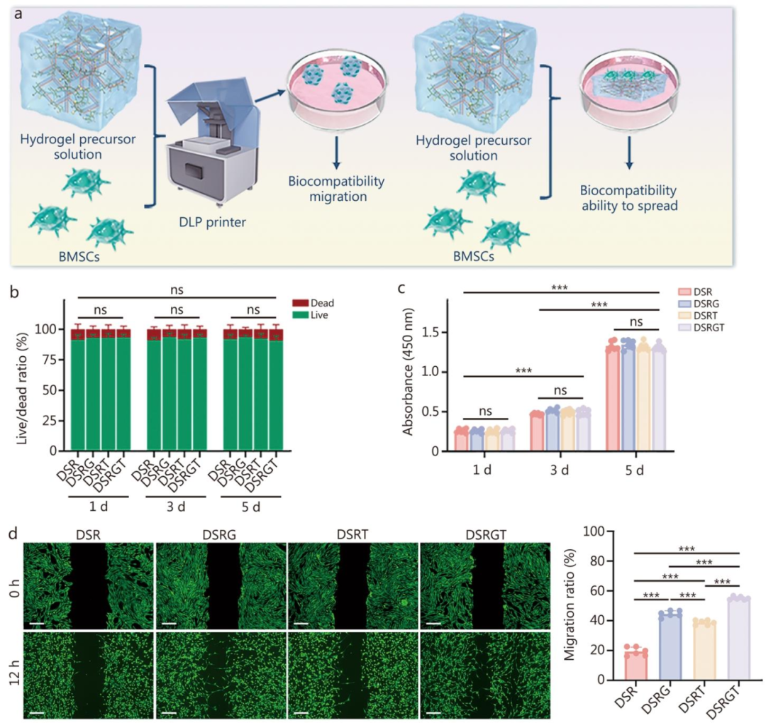 图 2：DSR、DSRG、DSRT 及 DSRGT 对 BMSCs 生物相容性和迁移能力的影响