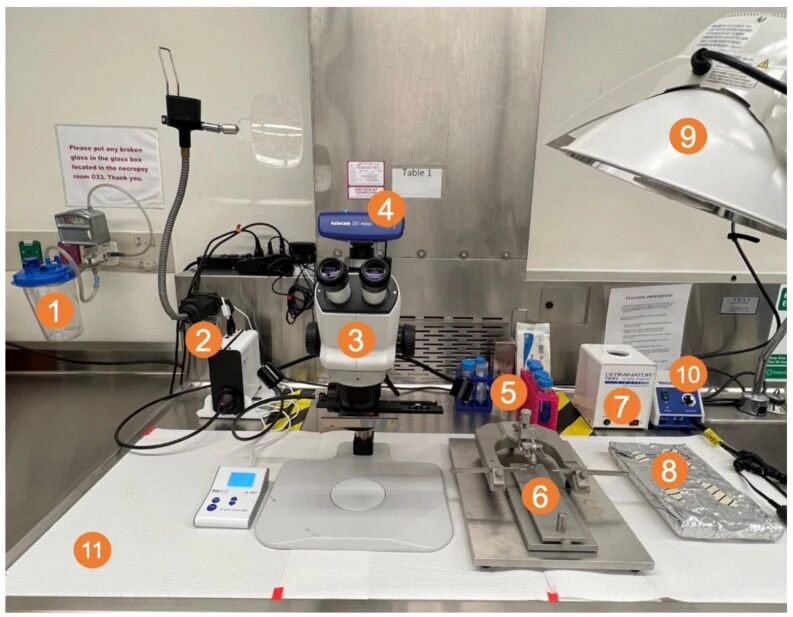 图 2：手术现场设备布置