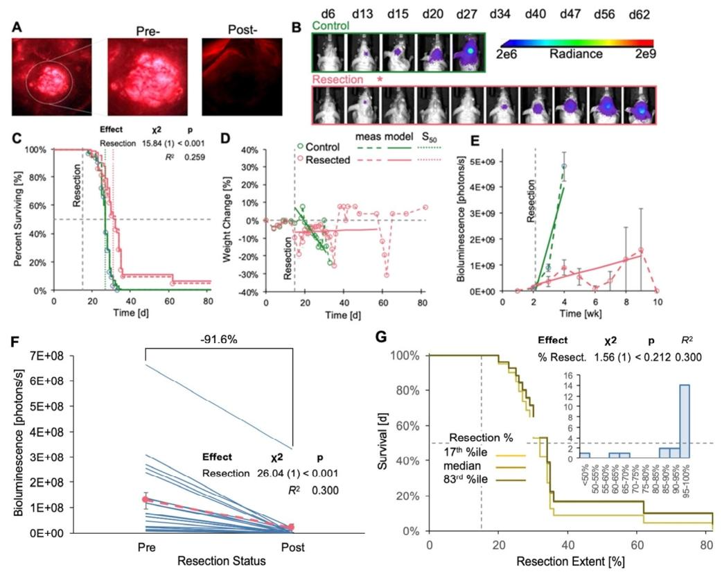 图 6：GL261 Red-FLuc 肿瘤切除延长生存、减少体重损失并减慢肿瘤生长