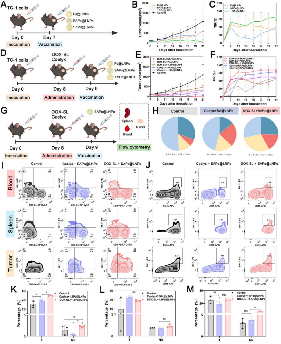 图8 SA修饰LNPs单独或与阿霉素脂质体联用的抗肿瘤效果。
