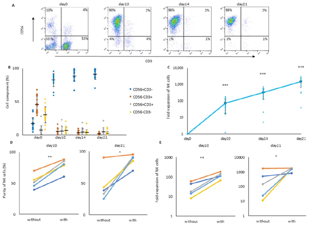 图1：无饲养层 NK 细胞扩增效率验证
