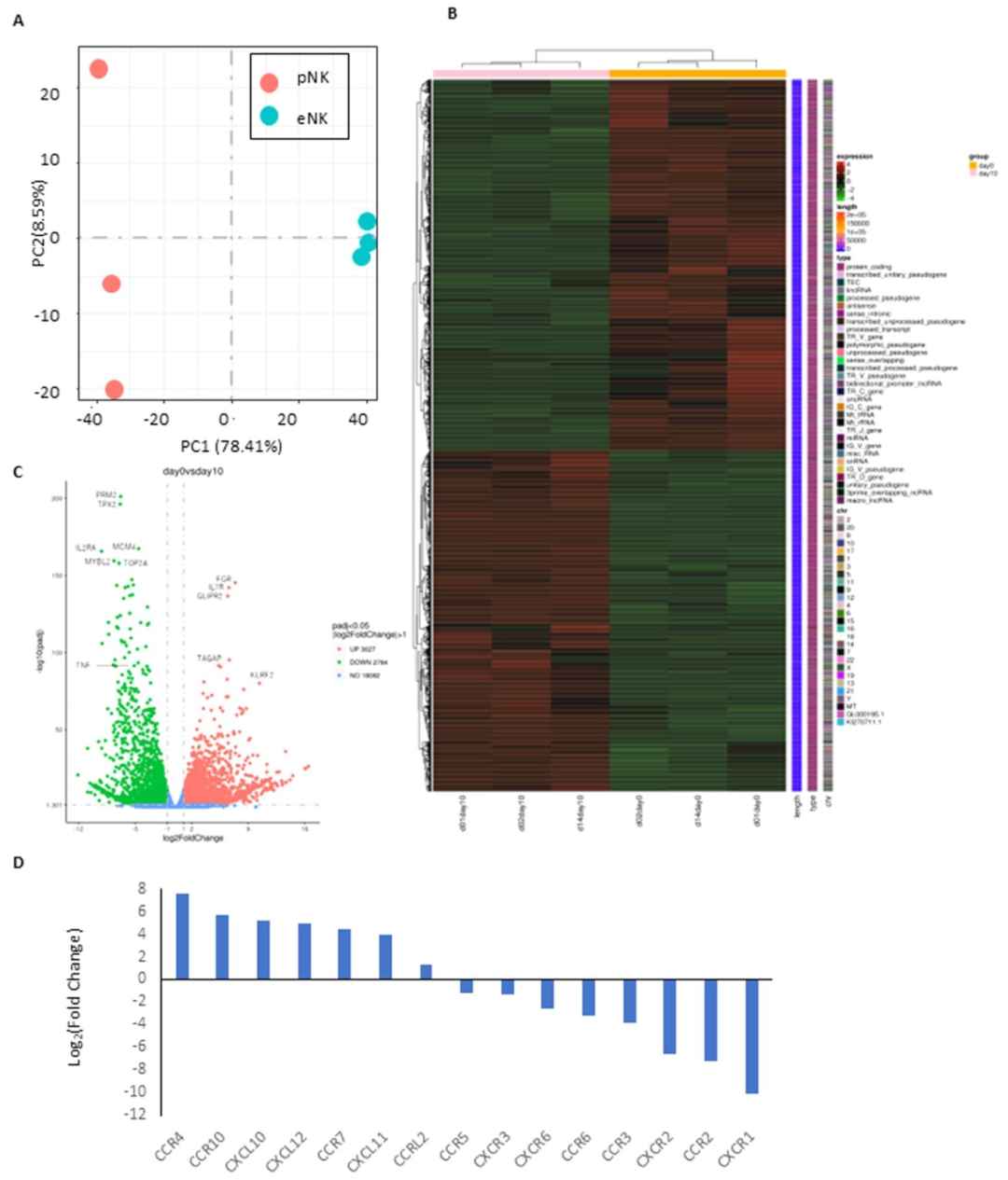 图3：扩增 NK 细胞转录组特征