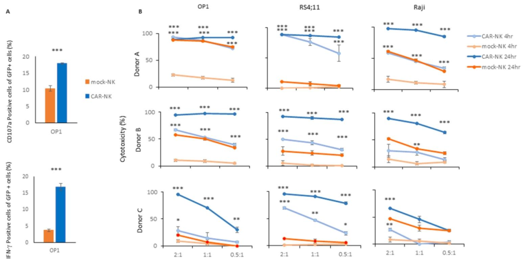 图6：抗 CD19 CAR-NK 对 B 细胞血液瘤的杀伤