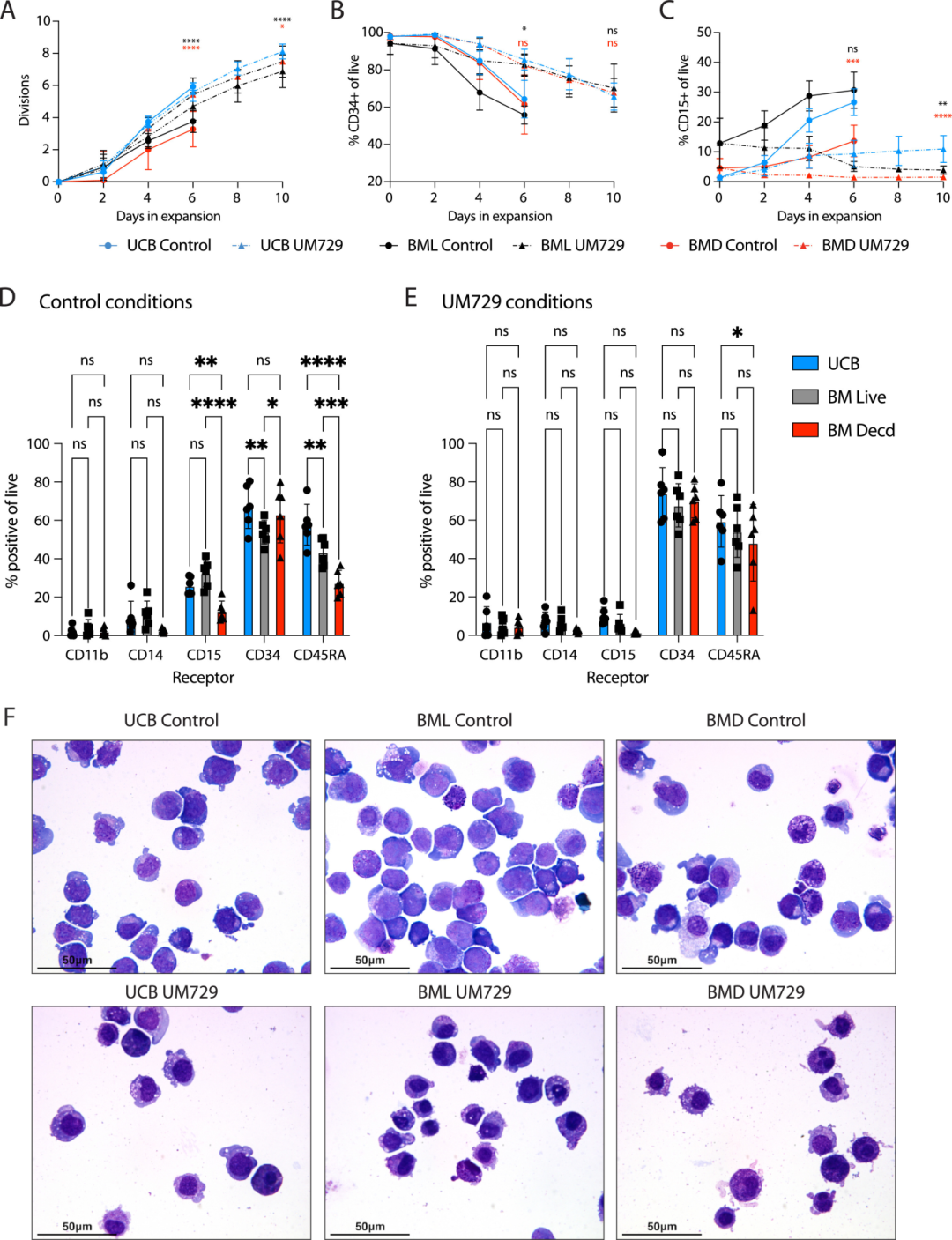 图2:CD34 + 扩增阶段特征
