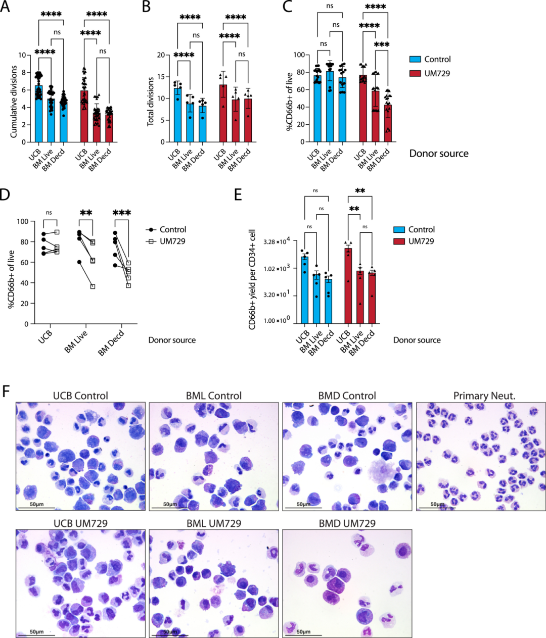 图3:CD34 + 分化阶段特征