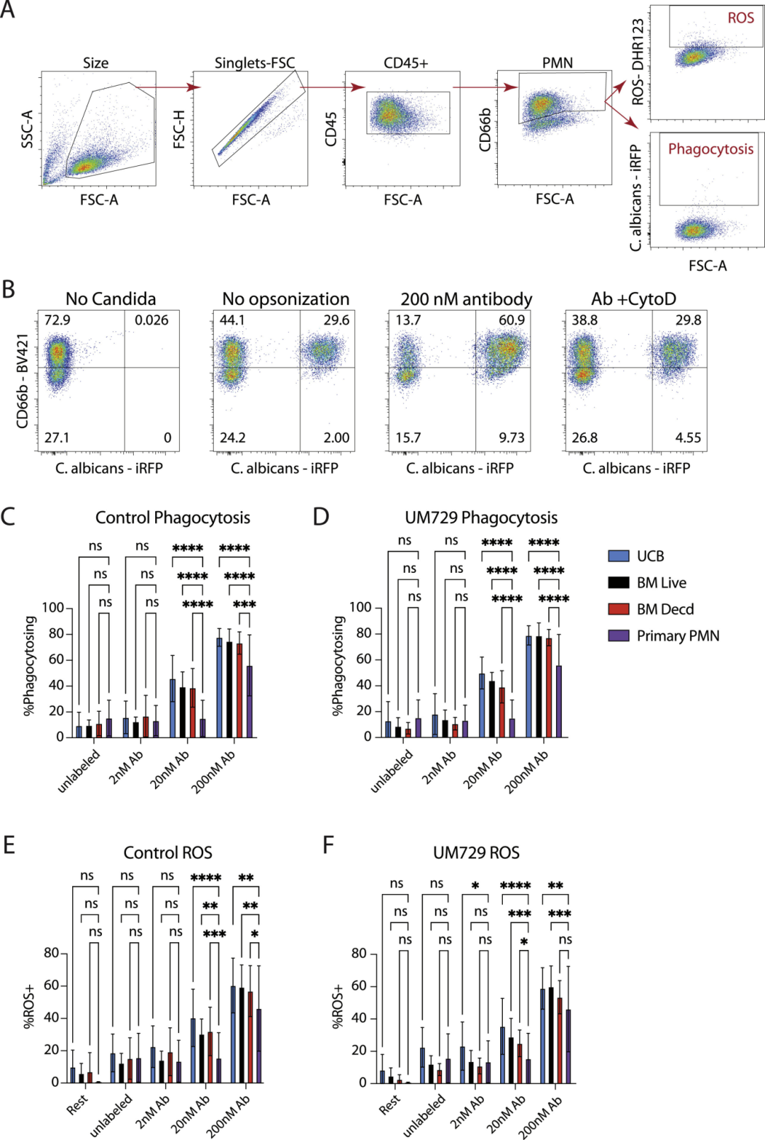 图4:中性粒细胞功能检测