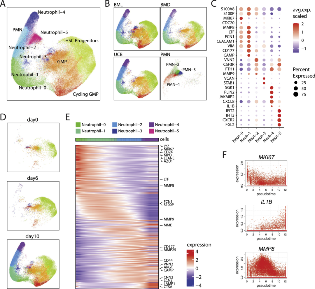 图6:单细胞转录组分析
