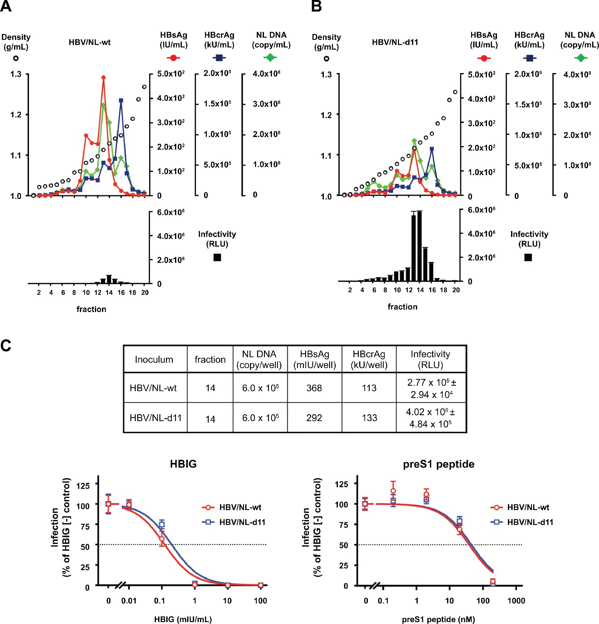 图 4：HBV/NL 报告病毒的特性与药物敏感性