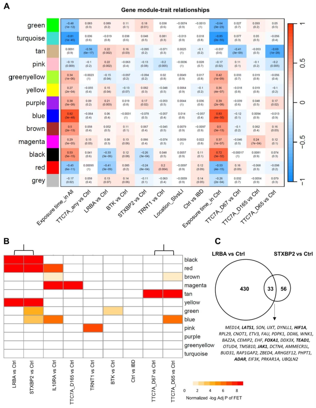 图 3：细菌刺激诱导的炎症反应