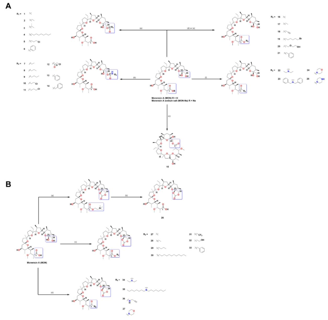 图 1：莫能菌素类似物的合成路线
