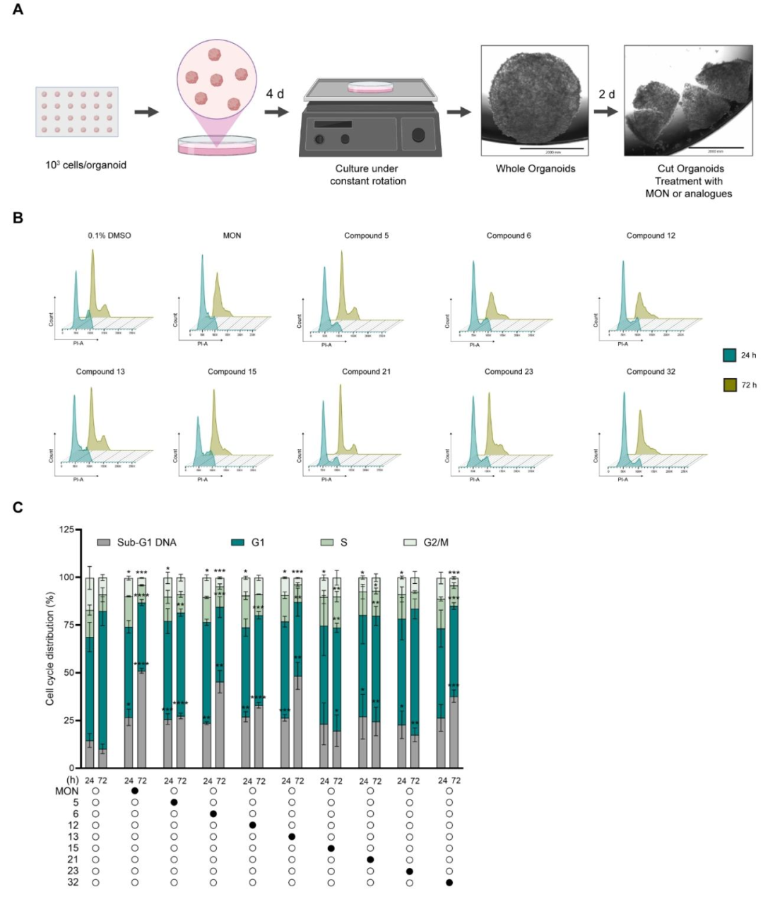 图 3：乳腺癌类器官中的细胞周期分析