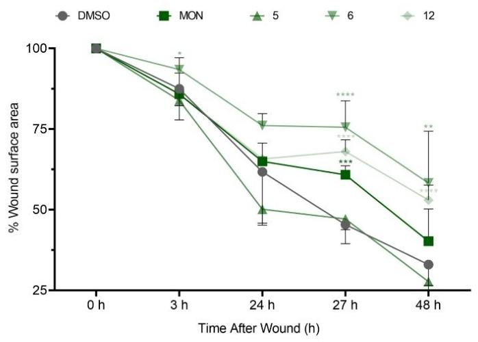 图 4：细胞迁移实验结果
